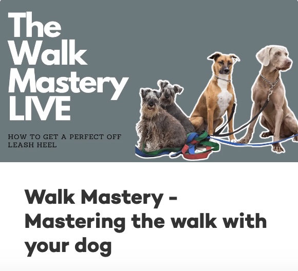Promotional image for 